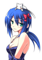 Rule 34 | 1girl, animal, animal on head, assassin (ragnarok online), blue camisole, blue gloves, blue hair, blush, bow, breasts, camisole, cat, cat on head, cleavage, commentary request, elbow gloves, gloves, green eyes, hair between eyes, hair bow, long hair, looking at viewer, medium breasts, nirap, on head, open mouth, ponytail, ragnarok online, red bow, simple background, smile, solo, upper body, white background, white cat