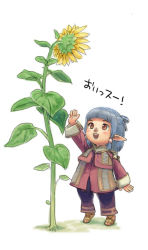 Rule 34 | 00s, androgynous, final fantasy, final fantasy xi, flower, gender request, pointy ears, solo, sunflower, tarutaru, translated, yuccoshi