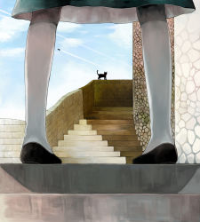 Rule 34 | 1girl, aircraft, airplane, between legs, brick wall, cat, cloud, day, dress, head out of frame, jet, legs, lower body, original, pantyhose, scenery, sky, solo, stairs, steps, view between legs, white pantyhose, yumi (tuzisaka)