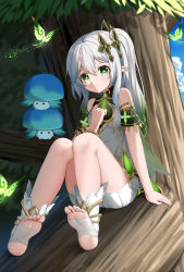 Rule 34 | 1girl, absurdres, blurry, commentary request, depth of field, detached sleeves, dress, forest, fungi (genshin impact), genshin impact, gradient hair, green eyes, hair between eyes, hair ornament, highres, long hair, looking at viewer, multicolored hair, nahida (genshin impact), nature, pointy ears, short sleeves, side ponytail, sidelocks, sitting, sitting on branch, skym (kumei), stirrup legwear, symbol-shaped pupils, toeless legwear, toes, tree, white dress, white hair