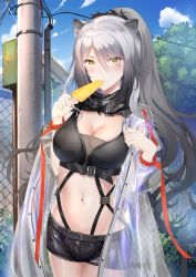 Rule 34 | 1girl, absurdres, animal ears, arknights, black scarf, black shorts, blue sky, breasts, cat ears, cleavage, cloud, commentary, cowboy shot, crop top, day, food, hands up, highres, holding, holding food, huge filesize, jacket, large breasts, long hair, long sleeves, looking at viewer, midriff, navel, open clothes, open jacket, popsicle, scarf, schwarz (arknights), see-through, short shorts, shorts, silver hair, sky, solo, standing, stomach, tree, very long hair, wimi, yellow eyes