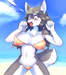 Rule 34 | 1girl, animal ears, bare shoulders, beach, black hair, blue eyes, blue sky, blush, breasts, clenched hands, cloud, collarbone, constricted pupils, cowboy shot, day, embarrassed, fangs, female focus, flying sweatdrops, furry, furry female, gluteal fold, hands up, highres, large breasts, legs apart, long hair, looking down, motion blur, navel, nose blush, open mouth, original, outdoors, sand, skindentation, sky, solo, standing, stomach, suigi, surprised, sweat, tail, wardrobe malfunction, wolf ears, wolf tail