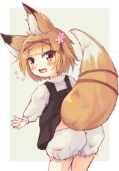 Rule 34 | 1girl, :3, :d, animal ear fluff, animal ears, black dress, bloomers, blunt bangs, blush, commentary, cowboy shot, dress, fang, flower, fox ears, fox girl, fox tail, from behind, hair flower, hair ornament, hair ribbon, inconvenient tail, koume (vrchat), leaning forward, long sleeves, looking at viewer, looking back, manabe mana, manabe orange, open mouth, original, pinafore dress, puffy long sleeves, puffy sleeves, red eyes, ribbon, shirt, simple background, skin fang, sleeveless, sleeveless dress, smile, solo, tail, tail ornament, tail ribbon, underwear, vrchat, white bloomers, white shirt