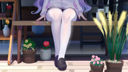 Rule 34 | 1girl, azur lane, black footwear, cardigan, chinese commentary, flower, flower pot, head out of frame, highres, legs, loafers, lower body, official alternate costume, pantyhose, pleated skirt, purple hair, shoes, sitting, skirt, solo, unicorn (azur lane), unicorn (long-awaited date) (azur lane), white cardigan, white pantyhose, xiao shi lullaby