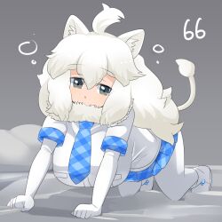 Rule 34 | 1girl, all fours, animal ear fluff, animal ears, bed, blue necktie, blue skirt, blush, boots, breasts, commentary request, dashed eyes, elbow gloves, full body, fur collar, gloves, grey background, grey eyes, highres, kemono friends, large breasts, lets0020, lion ears, lion girl, lion tail, long hair, looking at viewer, medium bangs, miniskirt, necktie, numbered, open mouth, pantyhose, pillow, plaid necktie, pleated skirt, shirt, short sleeves, skirt, solo, squeans, tail, white footwear, white gloves, white hair, white lion (kemono friends), white pantyhose, white shirt
