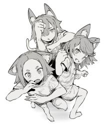 Rule 34 | 3girls, :o, animal ear fluff, animal ears, barefoot, blush, cat ears, cat girl, cat tail, clenched hand, commentary, ddari, dress, fang, from above, greyscale, grin, hair between eyes, highres, long hair, meme, monochrome, multiple girls, open mouth, original, parody, photo-referenced, romaji commentary, short hair, short sleeves, simple background, smile, tail