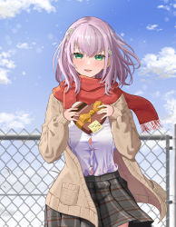 Rule 34 | 1girl, absurdres, bangom r, blue sky, blush, box, braid, brown cardigan, cardigan, chain-link fence, cloud, commentary, fence, flower, gift, gift box, green eyes, hair flower, hair ornament, heart-shaped box, highres, holding, holding gift, hololive, long hair, long sleeves, medium hair, open cardigan, open clothes, parted lips, plaid, plaid skirt, red scarf, ribbon, scarf, school uniform, shirogane noel, shirt, silver hair, skirt, sky, sleeves past wrists, smile, solo, teeth, upper teeth only, virtual youtuber, white footwear, white shirt, yellow ribbon