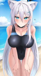 Rule 34 | 1girl, absurdres, animal ear fluff, animal ears, beach, black one-piece swimsuit, blue archive, blue eyes, blue sky, breasts, cloud, competition swimsuit, covered navel, cross hair ornament, day, extra ears, grey hair, hair ornament, halo, highres, horizon, large breasts, leaning forward, long hair, looking at viewer, mismatched pupils, multicolored clothes, multicolored swimsuit, ocean, official alternate costume, one-piece swimsuit, onemuikun-b, outdoors, shiroko (blue archive), shiroko (swimsuit) (blue archive), shiroko terror (blue archive), sky, solo, swimsuit, thigh gap, very long hair, wolf ears