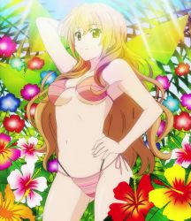 10s 1girl anime_screenshot bikini brown_hair female_focus flower golden_time green_eyes hibiscus highres kaga_kouko long_hair smile solo sunlight swimsuit