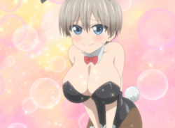 Rule 34 | 1girl, animal ears, bare shoulders, bent over, black leotard, blue eyes, blush, bow, bowtie, breasts, brown pantyhose, cleavage, detached collar, embarrassed, fake animal ears, grey hair, highres, large breasts, leaning forward, leotard, looking at viewer, no bra, pantyhose, rabbit ears, rabbit tail, red bow, red bowtie, screencap, short hair, stitched, sweatdrop, tail, third-party edit, uzaki-chan wa asobitai!, uzaki hana, v arms, wrist cuffs