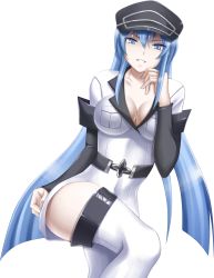 Rule 34 | 10s, 1girl, akame ga kill!, bad anatomy, blue eyes, blue hair, breasts, cleavage, esdeath, extraction, female focus, highres, large breasts, long hair, matching hair/eyes, solo, transparent background, uniform, very long hair