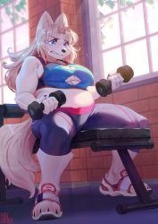 Rule 34 | 1girl, absurdres, animal ears, belly, bench, body fur, breasts, claws, cleavage, clenched teeth, dog ears, dog tail, dumbbell, exercising, fat rolls, female focus, furry, furry female, gym, highres, indoors, inuki (aruurara), large breasts, long hair, midriff, navel, original, parted bangs, plump, shoes, shorts, solo, sports bra, tail, teeth, white fur, window