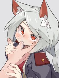Rule 34 | 1girl, 1other, absurdres, animal ear fluff, animal ears, blazer, blush, borrowed character, cat ears, cat tail, commentary request, epaulettes, finger sucking, grey background, grey hair, grey jacket, highres, holding hands, jacket, looking at viewer, necktie, original, pov, pov hands, red eyes, red necktie, ruko (kusiyan), shirt, short hair, simple background, solo focus, tail, upper body, white background, white shirt, yayuyoyayuyo