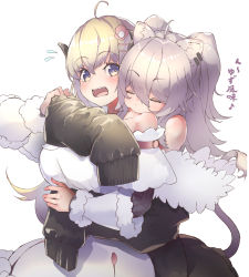 Rule 34 | 2girls, ahoge, animal ears, bare shoulders, biting, blonde hair, blush, breasts, closed eyes, detached sleeves, dress, earclip, fur-trimmed dress, fur-trimmed jacket, fur trim, grey hair, hair between eyes, hair ornament, hairclip, hands on another&#039;s arm, hololive, horns, hug, hug from behind, jacket, lion ears, lion girl, lion tail, long hair, looking at another, looking at viewer, looking to the side, moritatsu, multiple girls, off-shoulder jacket, off shoulder, open mouth, purple eyes, sheep girl, sheep horns, shishiro botan, shishiro botan (1st costume), simple background, sleeves past fingers, sleeves past wrists, tail, translation request, tsunomaki watame, tsunomaki watame (1st costume), upper body, virtual youtuber, white background, white dress, wool, yuri