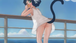 Rule 34 | 10s, 1girl, animal ears, ass, blue hair, cat ears, cat girl, cat tail, cleft of venus, cloud, cyan (show by rock!!), day, dress, eating, food, fruit, green eyes, leaning against railing, looking back, no panties, outdoors, paintrfiend, pussy, pussy juice, railing, see-through silhouette, show by rock!!, sky, solo, sundress, tail, uncensored, white dress