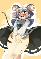 Rule 34 | 1girl, animal ears, blush, capelet, covering privates, covering crotch, embarrassed, grey hair, highres, jewelry, long sleeves, mepikari, mouse ears, mouse tail, nazrin, open mouth, panties, pendant, red eyes, short hair, skirt, solo, tail, torn clothes, torn skirt, touhou, underwear, yellow panties