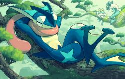 Rule 34 | animal, animal focus, arms behind head, branch, closed eyes, commentary request, creatures (company), crossed legs, day, doggo 1d34, froakie, frogadier, full body, game freak, gen 6 pokemon, greninja, lying, nature, nintendo, no humans, on back, outdoors, pokemon, pokemon (creature), solo focus, tongue, tongue scarf, tree