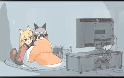 Rule 34 | 2girls, absurdres, animal ears, blanket, bottle, brown eyes, cable, comforter, ezo red fox (kemono friends), fox ears, highres, indoors, kemono friends, letterboxed, multiple girls, omnisucker, silver fox (kemono friends), tail, television, tsurime, watching television