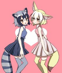 Rule 34 | 10s, 2girls, :3, adapted costume, animal ear fluff, animal ears, bare arms, bare shoulders, blonde hair, blue hair, blush, collared shirt, commentary, common raccoon (kemono friends), cowboy shot, extra ears, fang, fennec (kemono friends), fox ears, fox tail, heart, heart background, high-waist skirt, highres, kemono friends, matching outfits, multicolored hair, multiple girls, nail polish, open mouth, petit ramune, pink background, raccoon ears, raccoon tail, shirt, short hair, simple background, skirt, sleeveless, striped clothes, striped skirt, tail, thighhighs, zettai ryouiki