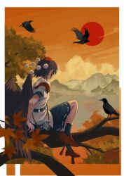 Rule 34 | 1girl, autumn leaves, belt, bird, bird wings, black belt, black bird, black hair, black socks, black wings, camera, cloud, cloudy sky, commentary request, crown, feathered wings, frilled skirt, frills, geta, hat, highres, in tree, kneehighs, kto znaet, leaf, mountainous horizon, outdoors, pointy ears, pom pom (clothes), puffy short sleeves, puffy sleeves, red footwear, red hat, red sun, ribbon-trimmed skirt, ribbon trim, shameimaru aya, shirt, short hair, short sleeves, sitting, sitting in tree, skirt, sky, socks, solo, sunset, tengu-geta, tokin hat, touhou, tree, white shirt, wings