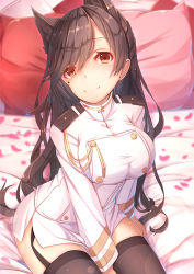 Rule 34 | 1girl, animal ears, atago (azur lane), azur lane, between legs, black thighhighs, blurry, blush, breasts, brown eyes, brown hair, closed mouth, commentary request, depth of field, garter straps, hand between legs, head tilt, indoors, large breasts, long hair, looking at viewer, military, military uniform, mole, mole under eye, on bed, petals, pillow, sitting, smile, solo, tatapopo, thighhighs, uniform, very long hair, wavy hair