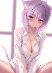 Rule 34 | 1girl, ahoge, animal ear fluff, animal ears, blush, breasts, cat ears, cat girl, cat tail, cleavage, he7ixmumqq8rbc9, highres, hololive, large breasts, looking at viewer, medium hair, naked shirt, nekomata okayu, nekomata okayu (oversized shirt), official alternate costume, purple eyes, purple hair, shirt, smile, solo, tail, tongue, tongue out, virtual youtuber, white shirt