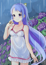 Rule 34 | 1girl, alternate costume, alternate eye color, animal, animal on hand, animal on head, babydoll, bad id, bad pixiv id, bare arms, bare shoulders, blue hair, blush, bow, breasts, collarbone, commentary, cowboy shot, flower, frills, frog, hydrangea, kantai collection, leaf, lingerie, long hair, looking away, minidraco, negligee, on head, purple eyes, purple flower, rain, red bow, red ribbon, ribbon, ribbon trim, samidare (kancolle), small breasts, smile, snail, solo, spaghetti strap, swept bangs, underwear, very long hair, wet, wet clothes, white babydoll