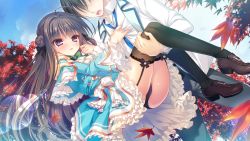 Rule 34 | brown hair, carrying, frills, game cg, garter straps, highres, princess carry, purple eyes, rubi-sama, thick thighs, thighs, underwear
