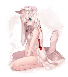 Rule 34 | 1girl, animal ears, blue eyes, bottomless, breasts, food, highres, long hair, looking at viewer, mouth hold, navel, open clothes, original, rabbit, saryuu (iriomote), solo, tail, white hair, wolf ears, wolf girl, wolf tail