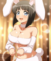 Rule 34 | 1girl, :d, absurdres, animal ears, black hair, blue eyes, blunt ends, blurry, blurry background, blush, breasts, choker, cleavage, collarbone, commentary request, detached sleeves, highres, indoors, large breasts, looking at viewer, open mouth, rabbit ears, rabbit tail, short hair, siesta (zero no tsukaima), smile, solo, standing, strapless, tail, tube top, white choker, white tube top, zanntetu, zero no tsukaima