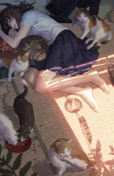Rule 34 | 1girl, animal, ball, barefoot, blue skirt, book, bowl, brown hair, cat, pet food, closed mouth, eating, closed eyes, food, highres, indoors, long hair, lying, mou-s, notebook, on side, original, pillow, plant, shadow, skirt, sleeping, wind chime