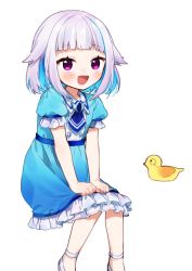 Rule 34 | 1girl, :d, animal, bird, blue dress, blue hair, blue neckwear, blush, collared dress, commentary request, dress, duck, feet out of frame, frilled dress, frills, hair flaps, lize helesta, looking at viewer, multicolored hair, nijisanji, open mouth, puffy short sleeves, puffy sleeves, purple eyes, sebastian piyodore, shoes, short sleeves, silver hair, simple background, sitting, smile, two-tone hair, virtual youtuber, white background, white footwear, yamabukiiro, aged down