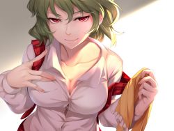 Rule 34 | 1girl, asutora, breasts, cleavage, closed mouth, collared shirt, fingernails, green hair, hair between eyes, kazami yuuka, large breasts, looking at viewer, red eyes, red scarf, scarf, shirt, short hair, smile, solo, touhou, unbuttoned, unbuttoned shirt, upper body, white shirt