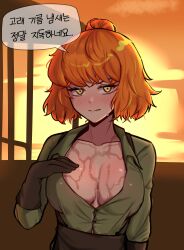 Rule 34 | 1girl, absurdres, blush, breasts, brown gloves, collarbone, collared shirt, gloves, green shirt, highres, ishmael (project moon), jjong (7 jjong 9), korean text, large breasts, limbus company, medium hair, open clothes, open shirt, orange hair, parted lips, project moon, shirt, solo, speech bubble, sunset, translation request, wet, wet clothes, yellow eyes