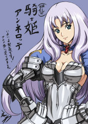 Rule 34 | 00s, 10s, 1girl, annelotte, annelotte (queen's blade), armor, armored dress, breasts, cleavage, eiwa, hands on own hips, knight princess annelotte, large breasts, long hair, purple hair, queen&#039;s blade, queen&#039;s blade rebellion, sideboob, solo