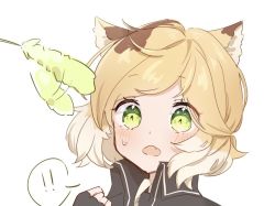Rule 34 | !, !!, 1girl, afterimage, animal ear fluff, animal ears, arknights, black gloves, black jacket, blonde hair, brown hair, cat ears, cattail, commentary request, fingerless gloves, gloves, hand up, jacket, mgmg cc211, mousse (arknights), multicolored hair, plant, portrait, shirt, simple background, solo, spoken exclamation mark, two-tone hair, white background, white shirt