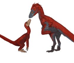 Rule 34 | animal focus, dinosaur, eye contact, feathered dinosaur, from side, height difference, highres, looking at another, mossacannibalis, no humans, original, pyroraptor, simple background, velociraptor, white background