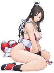 1girl breasts fatal_fury large_breasts long_hair shiranui_mai