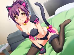 Rule 34 | 1girl, animal ears, bed, blush, breasts, cat ears, cat tail, costume, game cg, ginta, gloves, indoors, purple hair, ribbon, sitting, smile, solo, sugar + spice, tail, thighhighs, yellow eyes