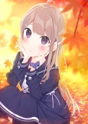 Rule 34 | 1girl, ahoge, autumn leaves, black dress, black pantyhose, black sailor collar, blue scrunchie, blurry, blurry background, blurry foreground, blush, bow, breath, brown hair, chikuwa., commentary request, commission, depth of field, dress, hair bow, hair ornament, hairclip, hands up, highres, leaf, long hair, looking at viewer, maple leaf, necktie, original, pantyhose, parted lips, pixiv commission, polka dot, polka dot scrunchie, purple eyes, sailor collar, sailor dress, scrunchie, short necktie, solo, squatting, two side up, very long hair, white bow, white necktie, wrist scrunchie, x hair ornament