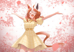 Rule 34 | 1girl, ^ ^, ahoge, animal ears, belt, brown hair, cherry blossoms, closed eyes, commentary, copano rickey (umamusume), double bun, dress, ear covers, facing up, fang, hair bun, highres, horse ears, horse girl, horse tail, katuko deluxe, medium hair, multicolored hair, outstretched arms, petals, solo, tail, two-tone hair, umamusume, white hair, yellow belt, yellow dress