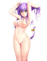 Rule 34 | 1girl, anakin sky (utcc), animal ears, armpits, arms up, blush, breasts, cat ears, cat tail, cowboy shot, highres, long hair, mouth hold, navel, nipples, nude, original, purple hair, pussy, ribbon, simple background, slit pupils, solo, standing, tail, white background, yellow eyes