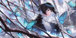 Rule 34 | 1boy, absurdres, blue eyes, branch, bug, butterfly, butterfly wings, cape, expressionless, fate/grand order, fate (series), fur cape, highres, insect, insect wings, oberon (fate), outdoors, sannen (wuuk5423), shirt, white shirt, wings, winter