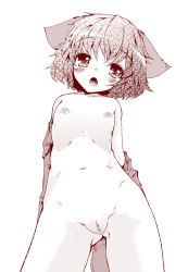 Rule 34 | 1girl, animal ears, bad id, bad pixiv id, blush, fang, female focus, flat chest, kasodani kyouko, monochrome, navel, nipples, nude, off shoulder, open mouth, pussy, short hair, solo, tail, takara akihito, touhou, uncensored