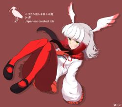 Rule 34 | 10s, 1girl, artist name, black footwear, blunt bangs, character name, crested ibis, full body, gloves, head wings, invisible chair, japanese crested ibis (kemono friends), japari symbol, kemono friends, long hair, long sleeves, looking at viewer, mary janes, mityubi, multicolored hair, pantyhose, pleated skirt, red background, red hair, red pantyhose, shirt, shoes, silhouette, simple background, sitting, skirt, solo, tail, two-tone hair, white hair, white shirt, wide sleeves, wings, yellow eyes