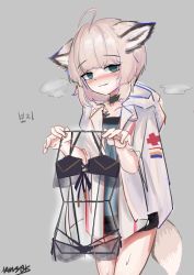 Rule 34 | 1girl, ahoge, animal ears, arknights, bikini, black bikini, black shorts, blonde hair, blue shirt, blush, collarbone, cowboy shot, fox ears, fox girl, fox tail, green eyes, grey background, heavy breathing, highres, holding, jacket, looking at viewer, material growth, namsek, nose blush, open clothes, open jacket, oripathy lesion (arknights), parted lips, shirt, short hair, short shorts, shorts, signature, simple background, smile, solo, sussurro (arknights), sweat, swimsuit, tail, white jacket
