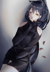 Rule 34 | 0 (znanimo), 1girl, absurdres, animal ears, arknights, black hair, black sweater, clothing cutout, covering own mouth, cowboy shot, dutch angle, ear piercing, extra ears, grey background, hand up, highres, holding, holding petal, long hair, looking at viewer, petals, piercing, shoulder cutout, simple background, solo, sweater, tail, texas (arknights), wolf ears, wolf girl, wolf tail, yellow eyes