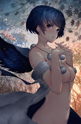Rule 34 | 1girl, bad id, bad pixiv id, black hair, black wings, breasts, commentary request, convenient censoring, dappled sunlight, feathered wings, highres, kumanoi azuki, leaf, medium breasts, navel, nude, outdoors, pom pom (clothes), red eyes, shameimaru aya, shirt, short hair, solo, sunlight, touhou, white shirt, wings