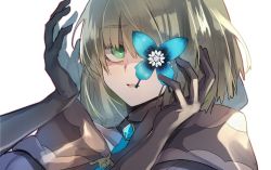 Rule 34 | 1boy, :d, blue butterfly, brown gloves, brown jacket, bug, butterfly, elbow gloves, gloves, green eyes, green hair, gretel (sinoalice), hair between eyes, insect, jacket, looking at viewer, open mouth, short hair, simple background, sinoalice, smile, tareraku, trap, white background