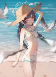 Rule 34 | 1girl, bare shoulders, bikini, black hair, blue archive, braid, breasts, bright pupils, halo, hat, leaf print, long hair, looking at viewer, miyu (blue archive), miyu (swimsuit) (blue archive), navel, nogi lace, official alternate costume, open mouth, print bikini, red eyes, small breasts, solo, straw hat, swimsuit, toes, twin braids, twintails, white bikini, white pupils